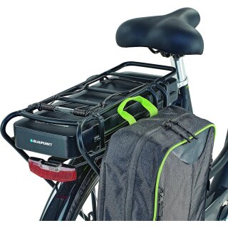 Prophete Geniesser eC100