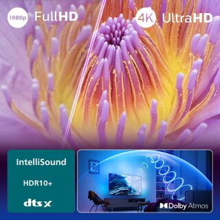 Philips 43PUS8400/12 (B)